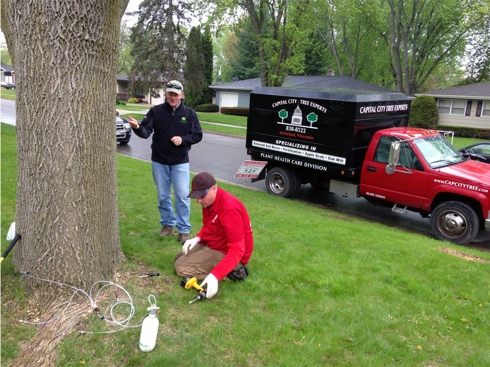 Tree Services and Stump Grinding - Treetimes Inc - Fredericksburg