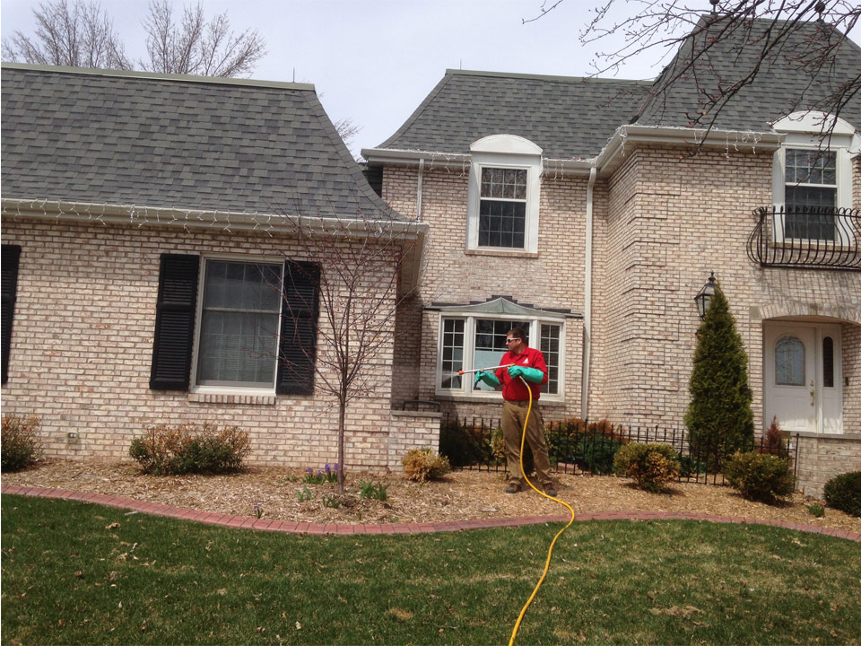 Tree Services in Madison