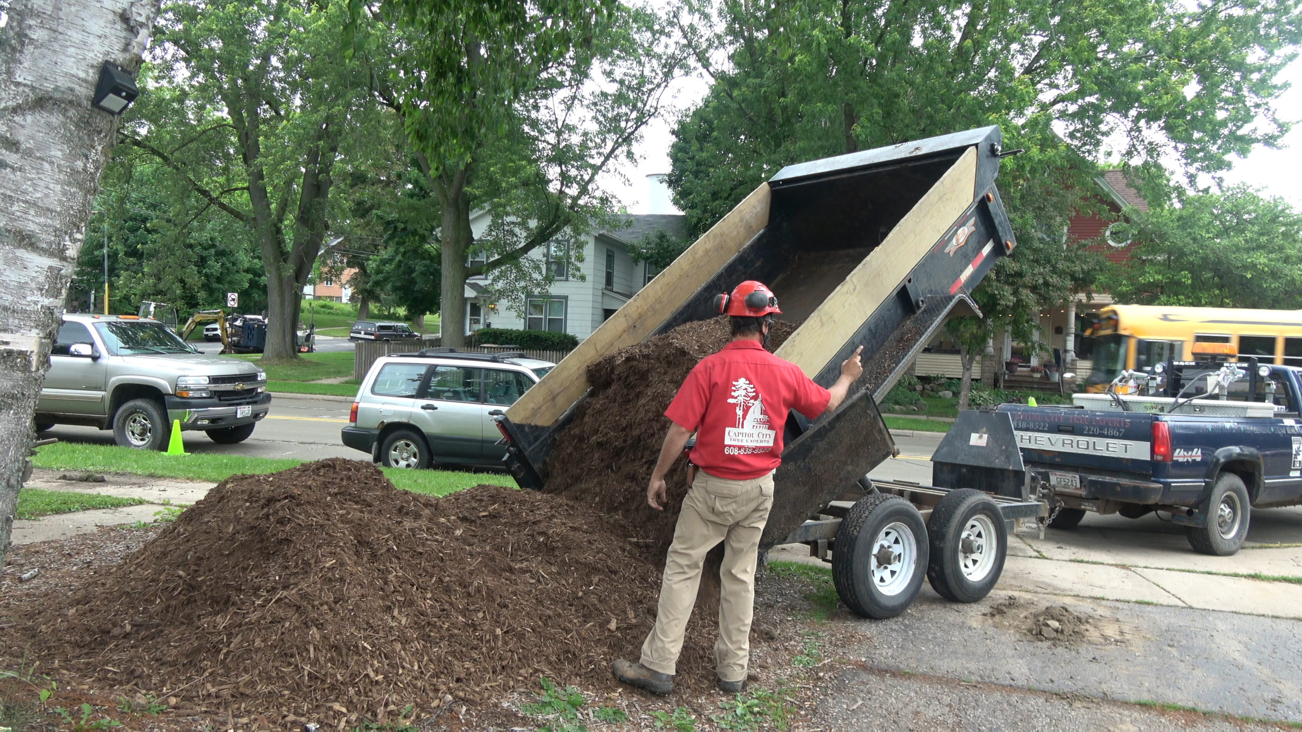 Mulch Madison's 1 Tree Service Co.